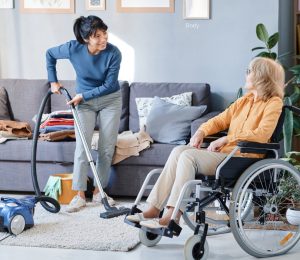 domestic assistance