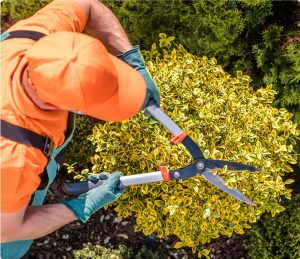 home maintenance